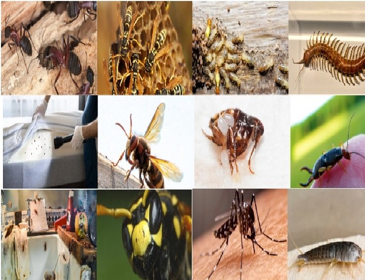 Professional pest control Pennsylvania