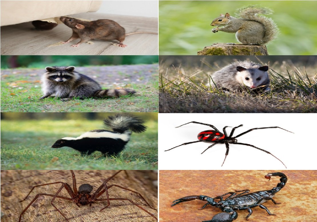  pest control Pennsylvania